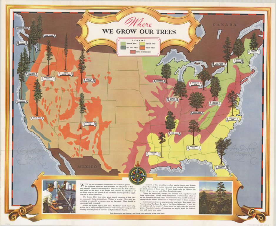 Tree Farmns Map Where We Grow Our Trees. | La Jolla Map Museum